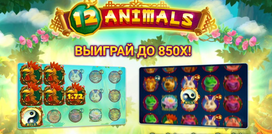 12 animals 12 animals